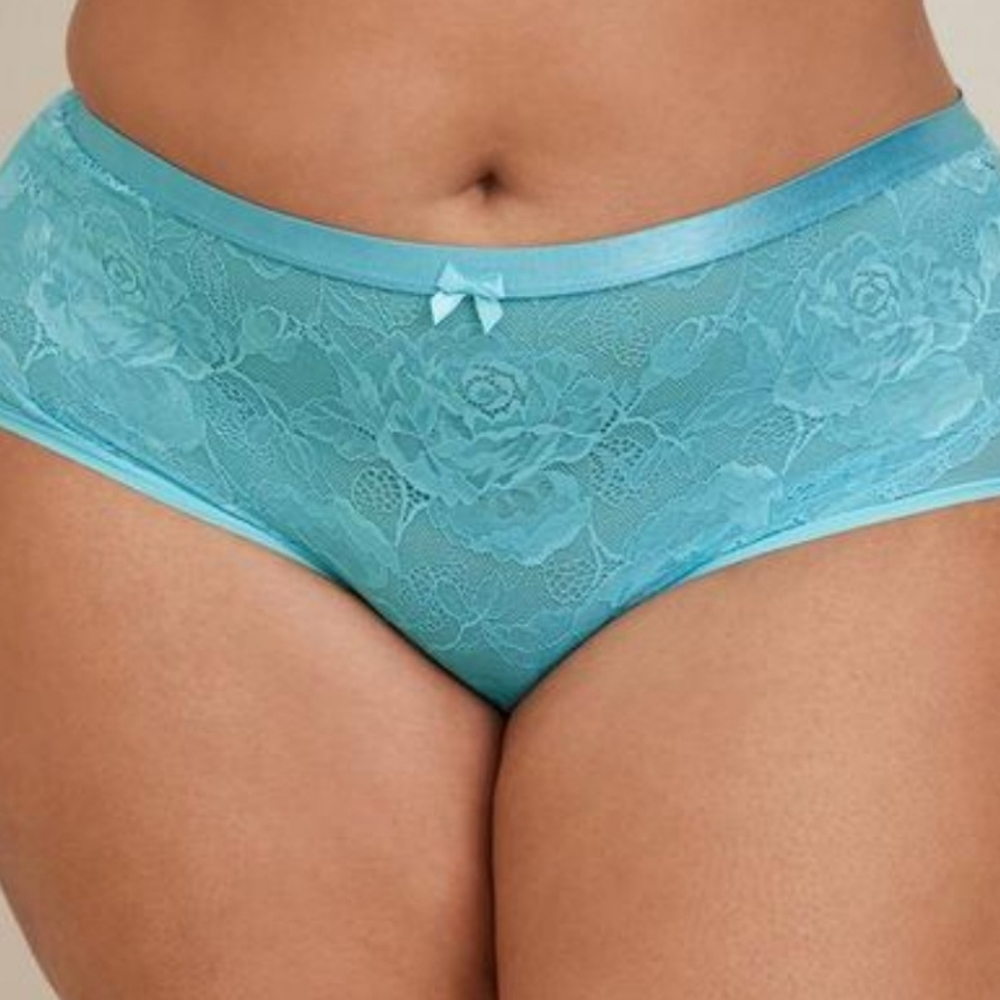 Torrid Sexy Brief Plus Size Panties Lace Underwear Hipster 4x